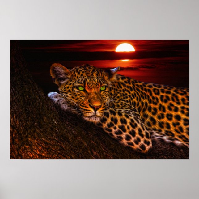 Poster poster-leopardo (Frente)