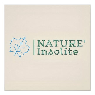 Pôster Poster : logo officiel de l'émission