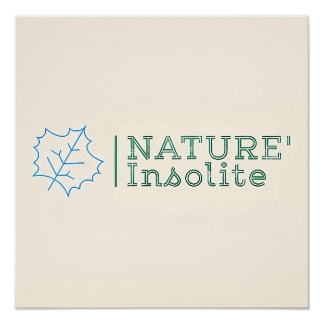 Pôster Poster : logo officiel de l'émission (Frente)