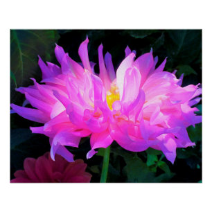 Pôster Poster lustroso da dália cor-de-rosa