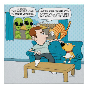 Pôster Poster mau engraçado do gato