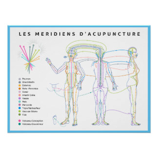 Pôster Poster Méridiens d'Acupuncture, médecine chinoise