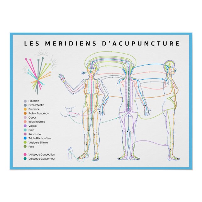 Pôster Poster Méridiens d'Acupuncture, médecine chinoise (Frente)