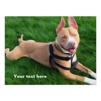 Pôster Poster moderno com cachorro-do-pit-bull na grama v