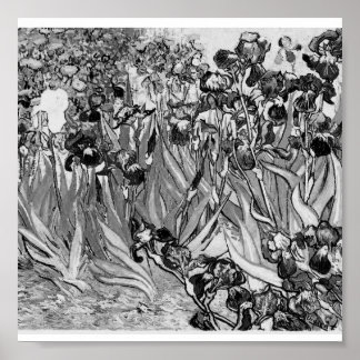 Pôster Poster-Monochrome-Van Gogh-Irises