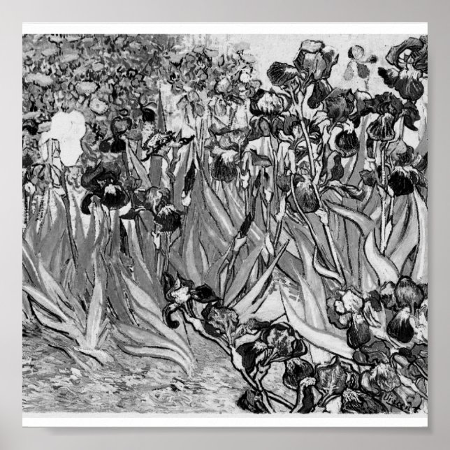 Pôster Poster-Monochrome-Van Gogh-Irises (Frente)