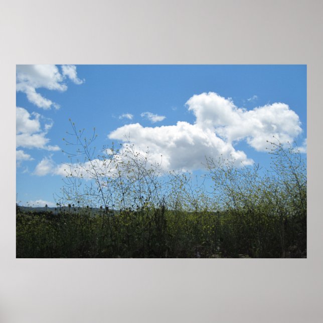 Pôster Poster: Mostarda nas nuvens (Frente)