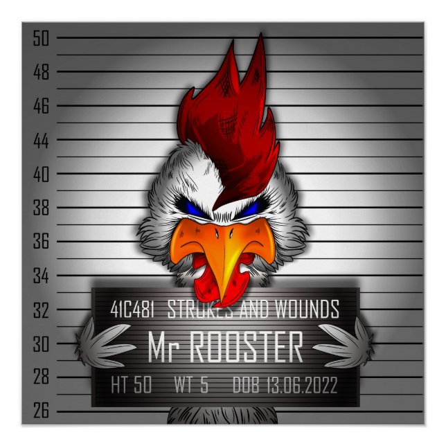 Pôster Poster Mr Rooster (Frente)