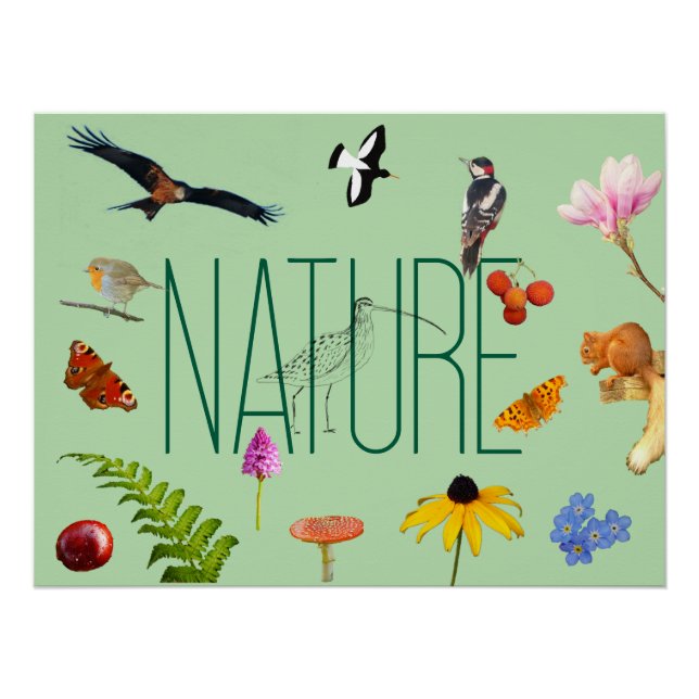 Pôster Poster natural (Frente)
