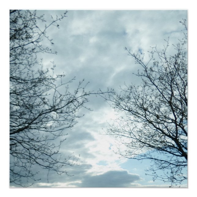 Pôster Poster natural (Frente)