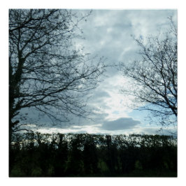 Pôster Poster natural