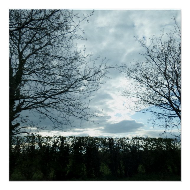 Pôster Poster natural (Frente)