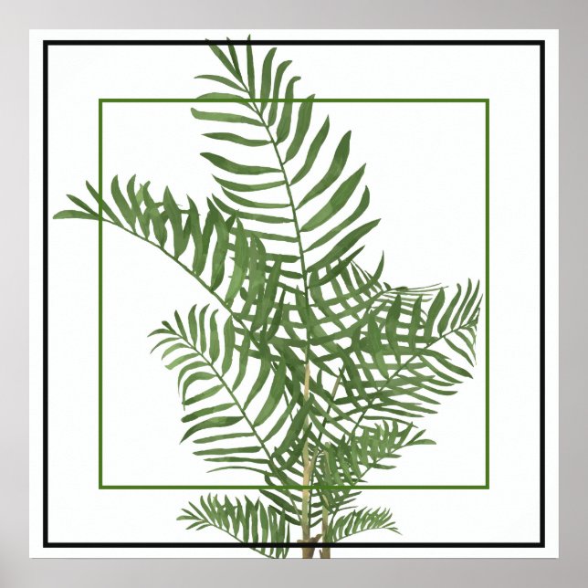Poster Poster-Palm 24" x 24" (Frente)