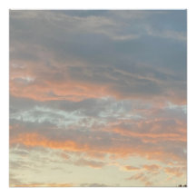 Poster para Transferência da Nuvem Nine