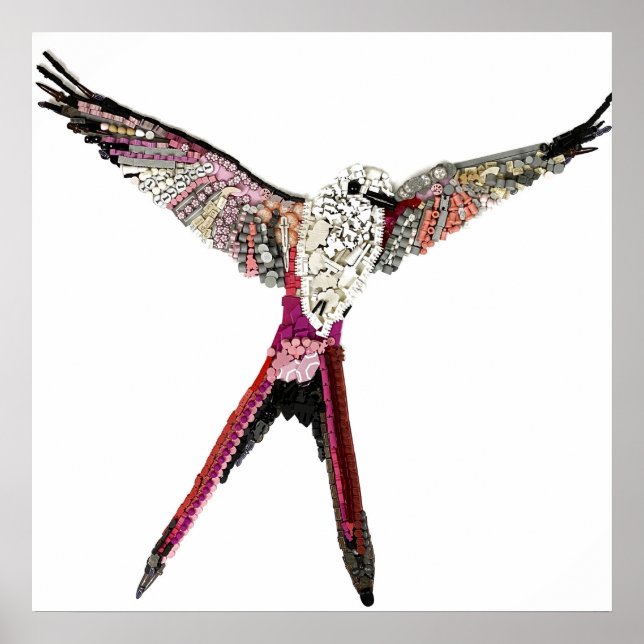 Poster Poster: Pássaro da envergadura da asa dos componen (Frente)