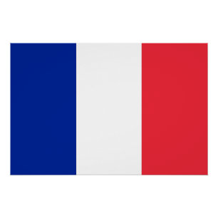 Pôster Poster patriótico com a bandeira de France