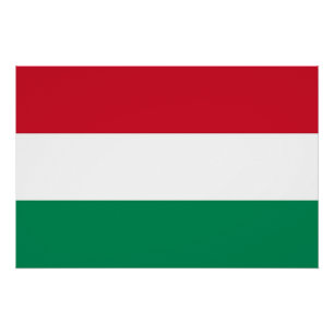 Pôster Poster patriótico com a bandeira de Hungria