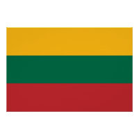 Poster Patriótico com Bandeira da Lituânia