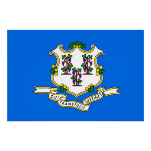 Pôster Poster patriótico da parede com a bandeira de