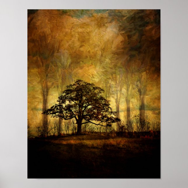 Pôster Poster-Peaceful Tree (Frente)