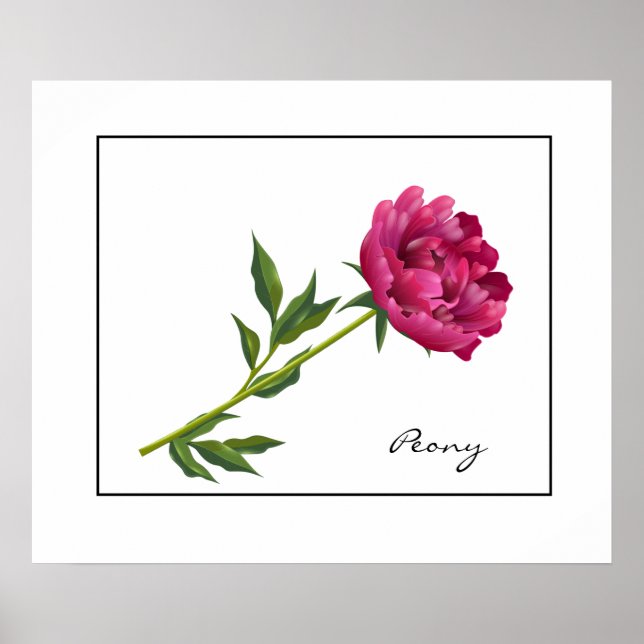Poster Poster-Peony (Frente)