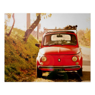 Pôster Poster perfeito   Fiat 500% pipe% Roma Italia do