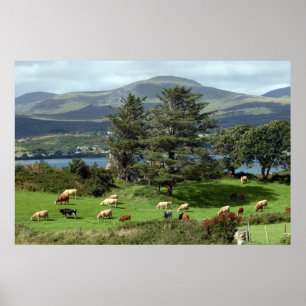 Pôster poster-prado-da-ilha