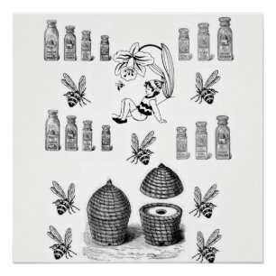 Pôster poster preto branco de abelha