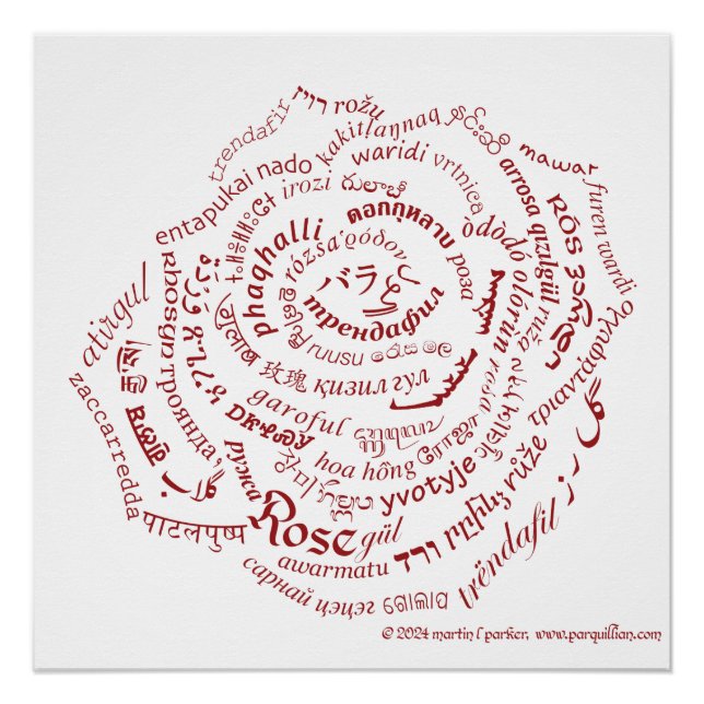 Pôster Poster Rosa do Mundo (Frente)