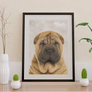 Pôster Poster Sharpei chinês