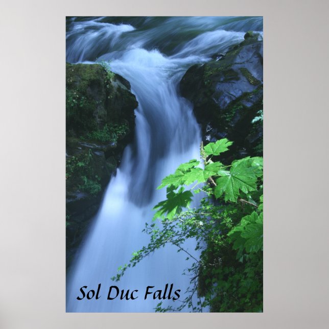 Pôster Poster: Sol Duc Cai (Frente)