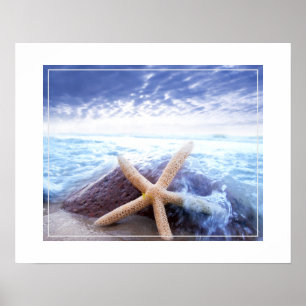 Poster Poster-Starfish