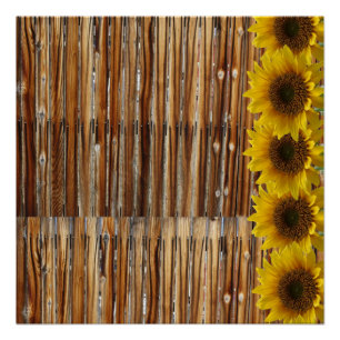 Pôster Poster Sunflower