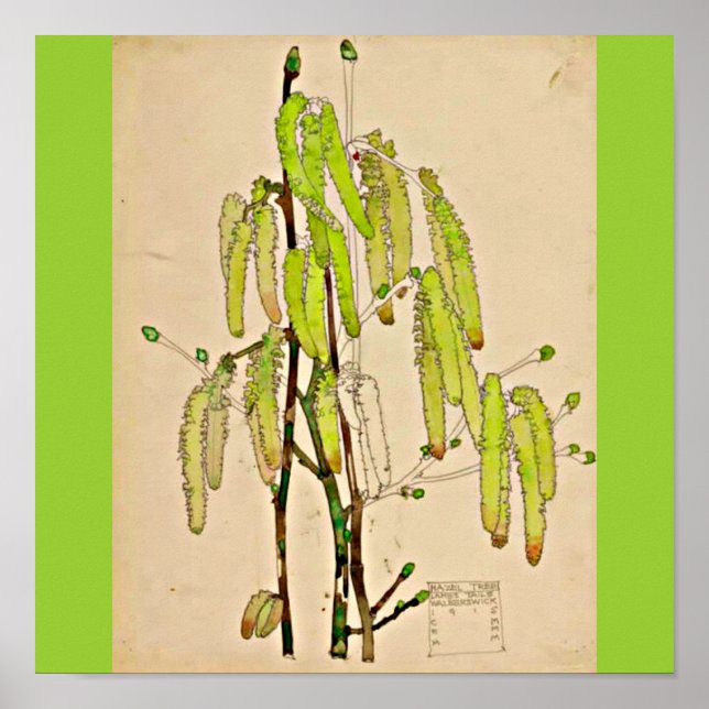 Pôster Poster-Vintage-Charles Rennie Mackintosh 13 (Frente)