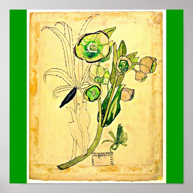 Poster Poster-Vintage-Charles Rennie Mackintosh 21 (Frente)