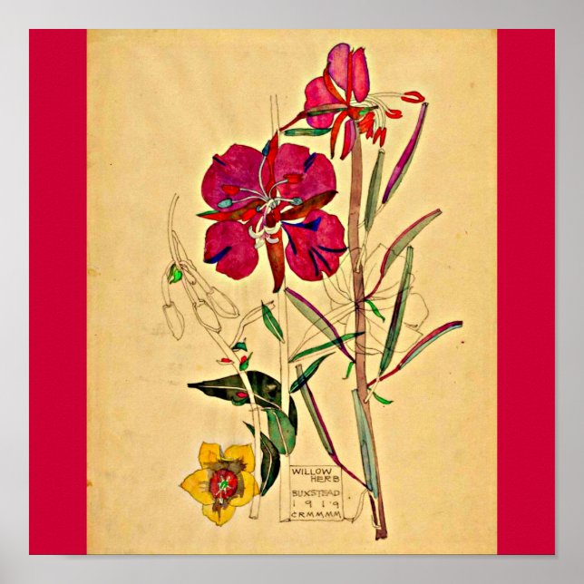 Pôster Poster-Vintage-Charles Rennie Mackintosh 28 (Frente)