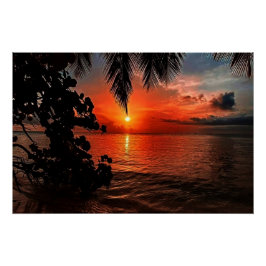 Pôster Poster Wall Decor