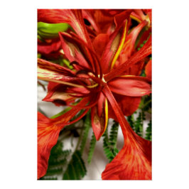 Pôster Poster Wall Decor