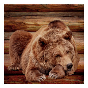 Pôster Posters DE CABINA DO REGISTRO DE URSO GRIZZZZZZELY