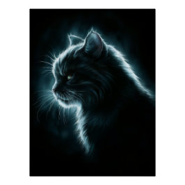 Pôster Posters Dives Cat 2