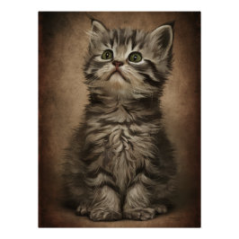 Pôster Posters Dives Cat 4