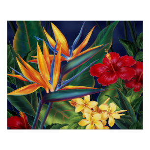Pôster Posters florais havaianos do paraíso tropical