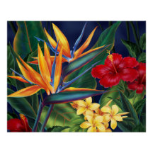 Posters Florais Tropicais do Havaí