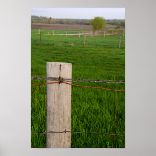 Poster Posto Barbed Wire Fence
