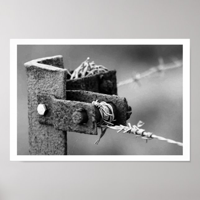 Pôster Posto Canto de Cerca de Fio-Fio-Barbed (Frente)