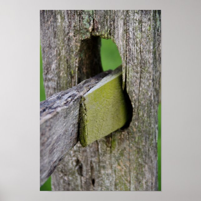 Poster Posto Rustic Weathered Fence (Frente)