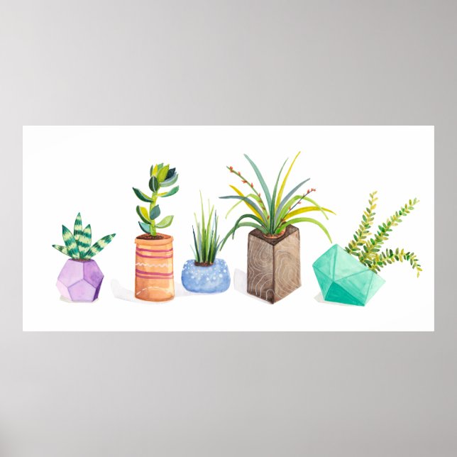Poster Pot of Succulents (Frente)
