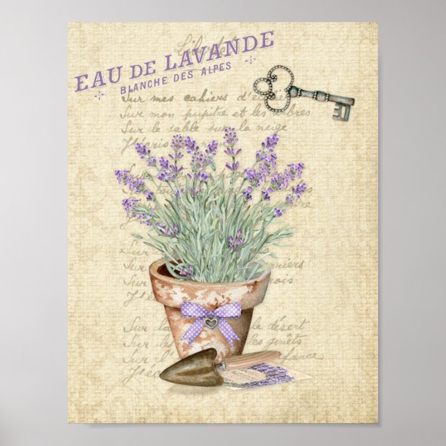 Poster Pote de Jardim Terracotta Lavanda Francesa (Frente)