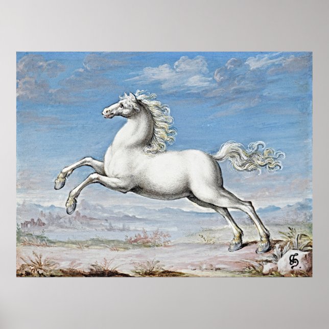 Poster Potência Graciosa: Cavalo Branco - Trabalho de art (Frente)