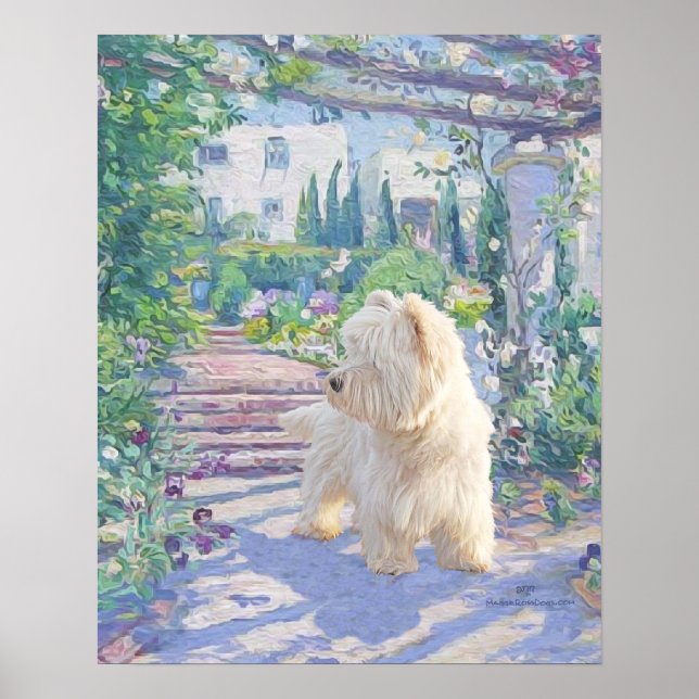 Pôster Potência Springtime (Frente)